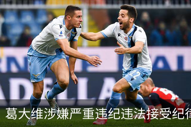 葛大维涉嫌严重违纪违法接受纪律审查与监察调查